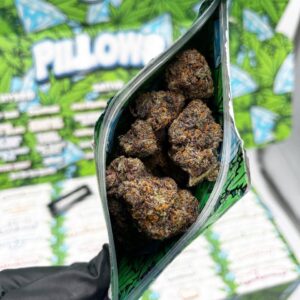 snooze weed,snooze pillows weed,pillow weed,snooze pillows,pillows weed brand,pillows weed,weed pillow,pillows weed brand,snooze pillows weed,